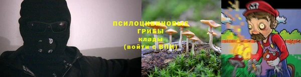 дмт Алексин