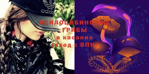 apvp Алексеевка